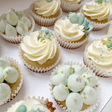 6 x Cupcakes